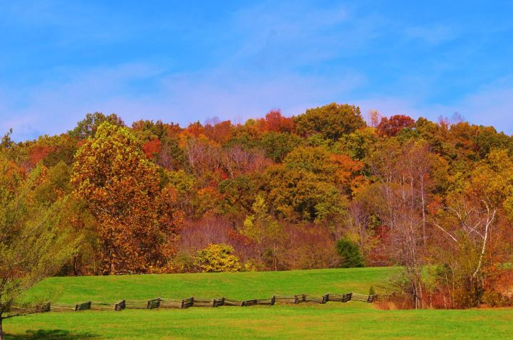 Fall color along the Trace.